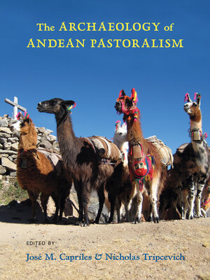 cover image of The Archaeology of Andean Pastoralism